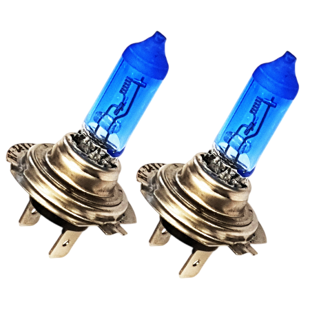 H7 Bulbs