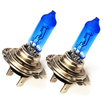 H7 Bulbs